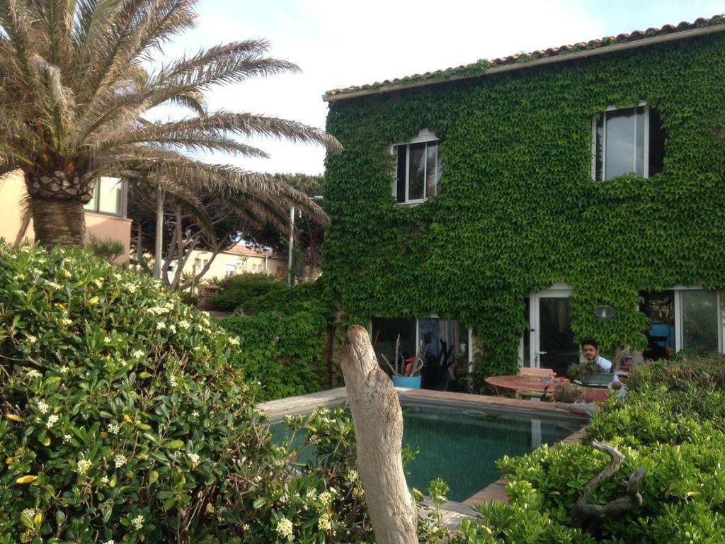 Un Coin De Paradis Six-Fours-les-Plages Exterior foto